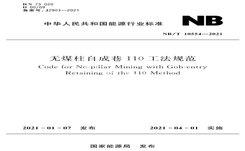 NB/T10554-2021 NB/T10554-2021 úԳ110淶